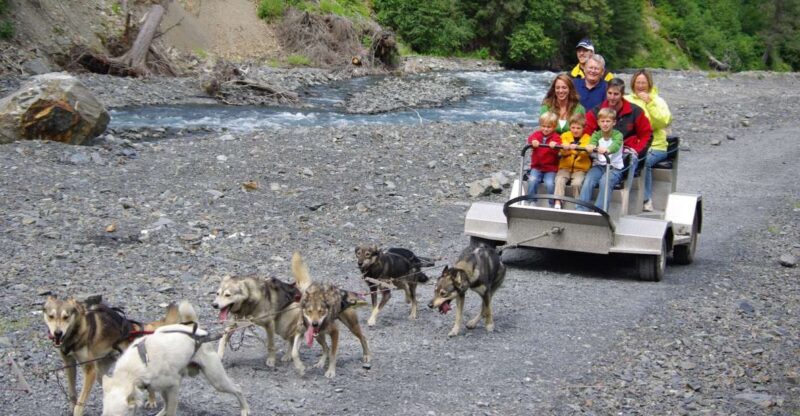 Seward: Summer Dog Sled Ride and Seavey Estate Tour - The Sum Up: Who Is This Tour Best For?