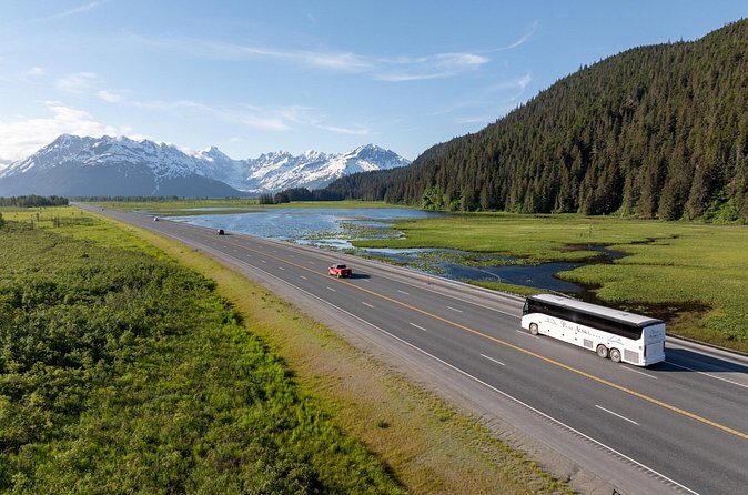 Seward to Anchorage Direct Transfer Tour - Final Thoughts