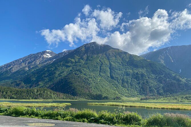 Seward to Anchorage Full Day Transit Tour with Port Pickup - Key Points
