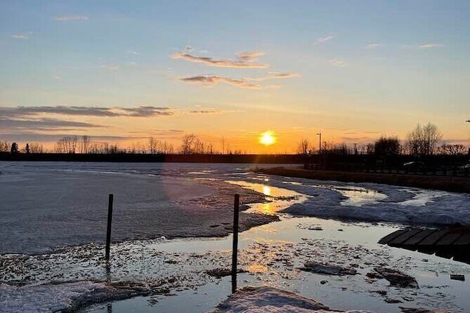 Seward to Anchorage- Post Cruise Curated Wildlife Tour +Transfer - FAQ