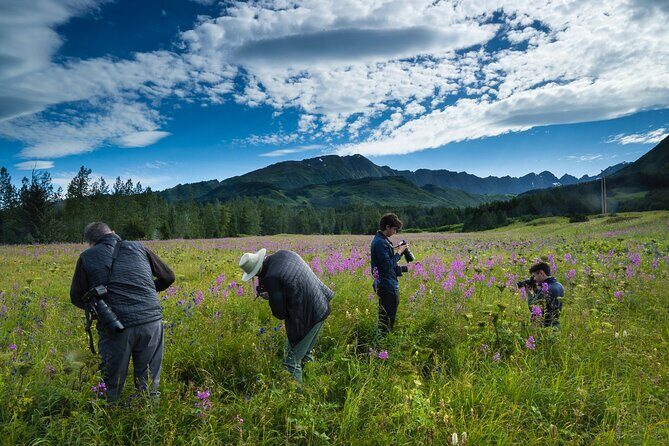 Seward to Anchorage Scenic Transfer Photo Tour - Discover Alaska’s Natural Beauty on the Seward to Anchorage Scenic Transfer Photo Tour