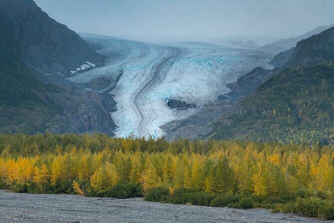 Seward to Anchorage Scenic Transfer Photo Tour - An In-Depth Review of the Seward to Anchorage Scenic Transfer Photo Tour