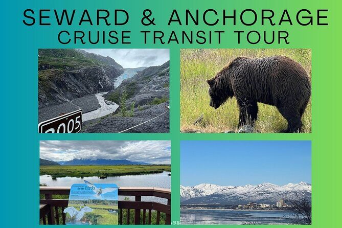 Seward to Anchorage transfer with National Park hike and AWCC - The Sum Up: Who Is This Tour Best For?