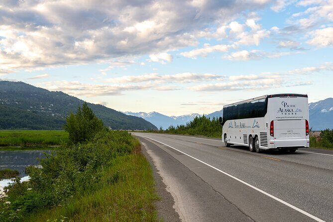 Seward to Anchorage Wildlife Adventure - Why This Tour Works Well