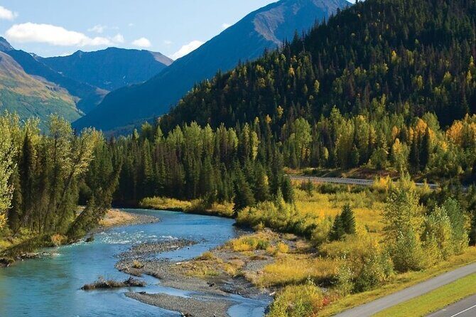 Seward to Anchorage Wildlife Adventure - Who Should Consider This Experience?