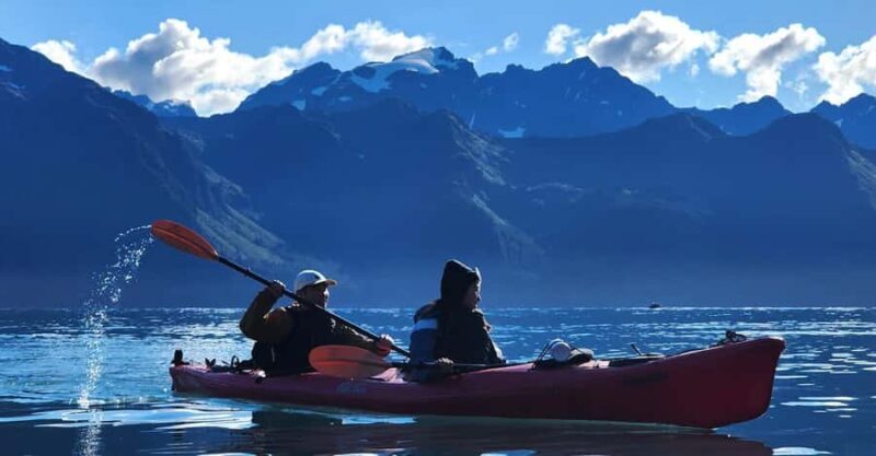 Seward: Tonsina Point Kayak & Exit Glacier Nature Hike - An In-Depth Look at the Seward Kayak & Glacier Hike