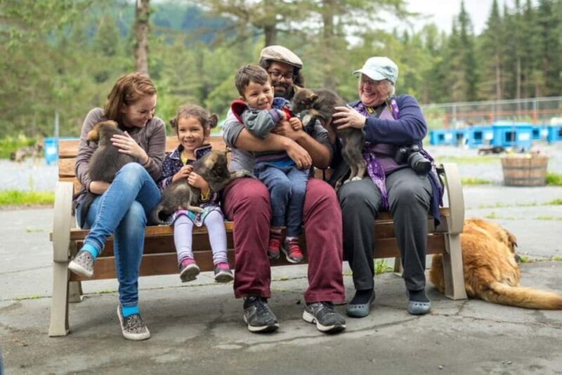 Seward: Turning Heads Kennel Tour & Dog Sled Ride - An Authentic Alaskan Adventure in Seward: The Turning Heads Kennel Tour & Dog Sled Ride