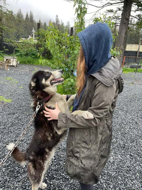 Seward: Turning Heads Kennel Tour & Dog Sled Ride - FAQ: Everything You Need to Know