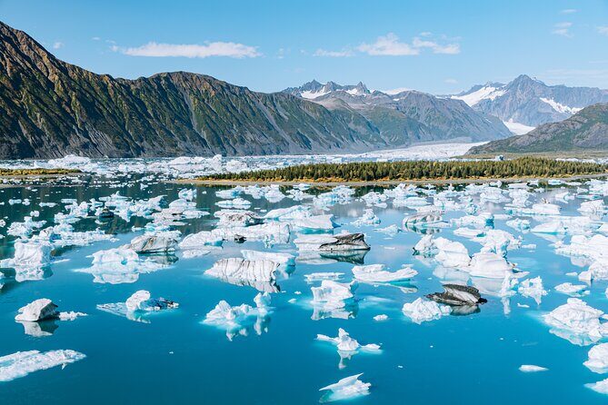Seward Wildlife Explorer 60 minute Heli Flightseeing - Introduction: A View from Above in Seward