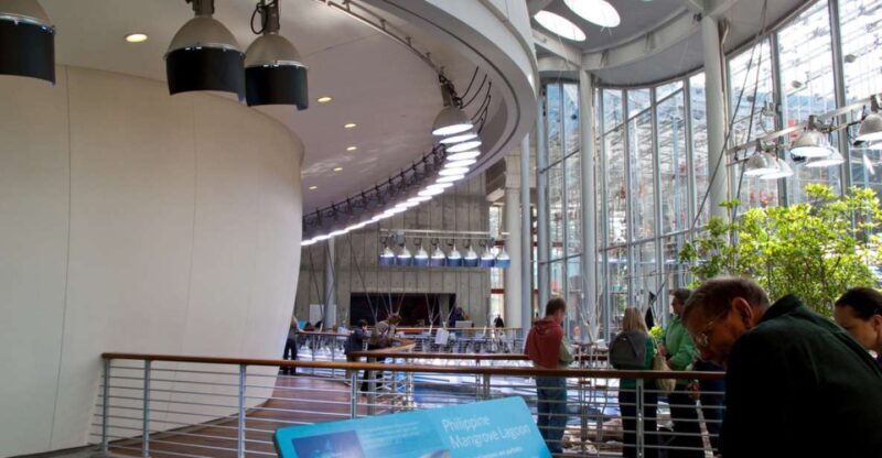 SF: CA Academy of Sciences & Hop-on Hop-off Tour (Save 15%) - A Closer Look at the Tour Experience