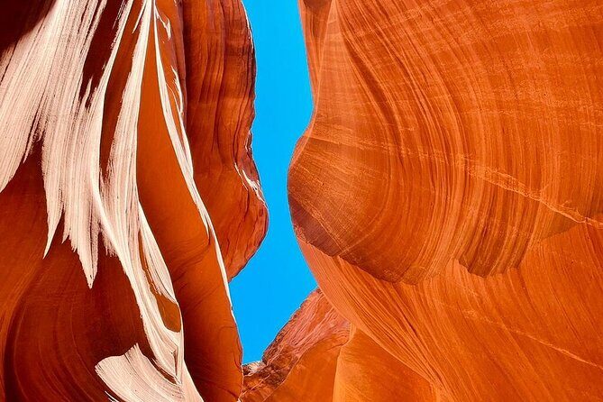 SF to Yellowstone,Grand Teton,Antelope Canyon&Vegas 7-Day Tour - An In-Depth Look at the 7-Day Tour Experience