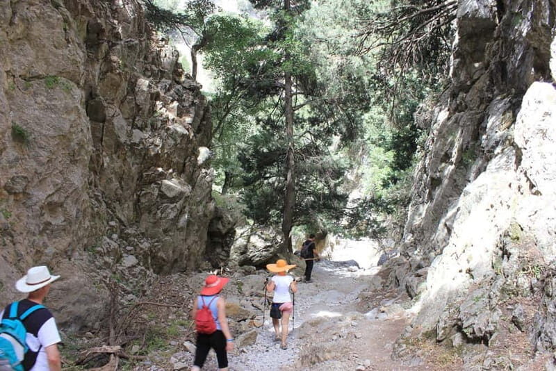 Sfakia Private Escape: Imbros Gorge, History & Hidden Beach - Exploring Crete’s Untamed South: What to Expect on This Private Day Trip
