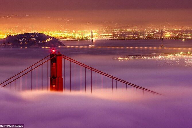 SFO Pick-Up with City Sightseeing Tour - The Sum Up: Who Should Book This?