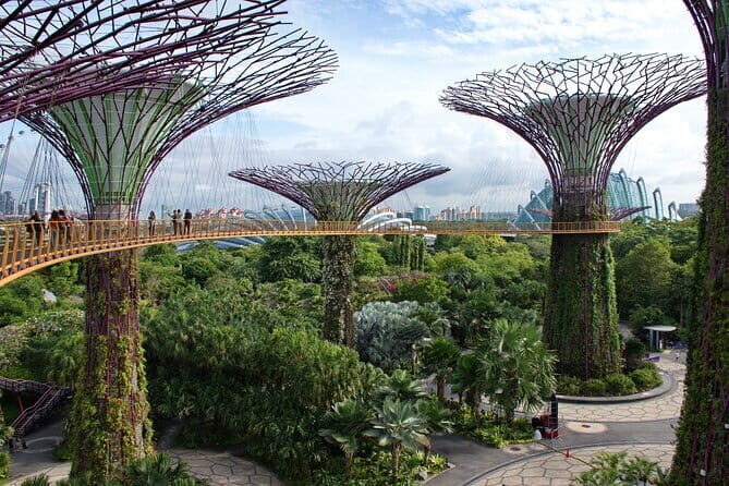 SG Evening/Nite -River Cruise, Marina Bay Light Show, Chinatown - Frequently Asked Questions