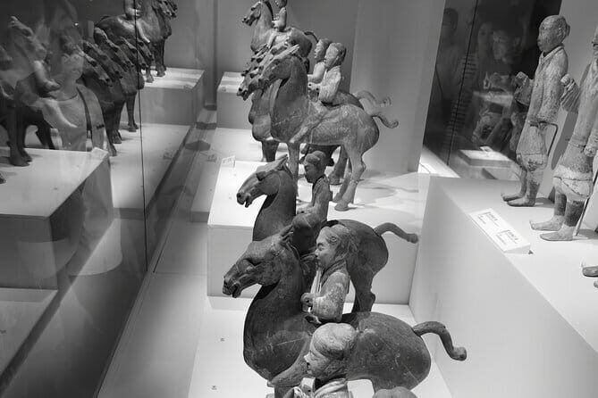 Shaanxi History Museum Qin-Han Division English guide service - Who Would Love This Tour?