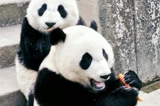 Shaanxi History Museum Qin-Han Division English guide service - Final Thoughts