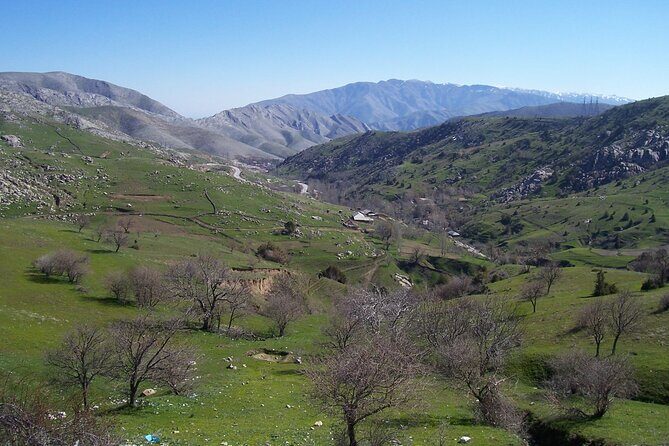 Shahrisabz Private Excursion From Samarkand. - Who Will Love This Tour?