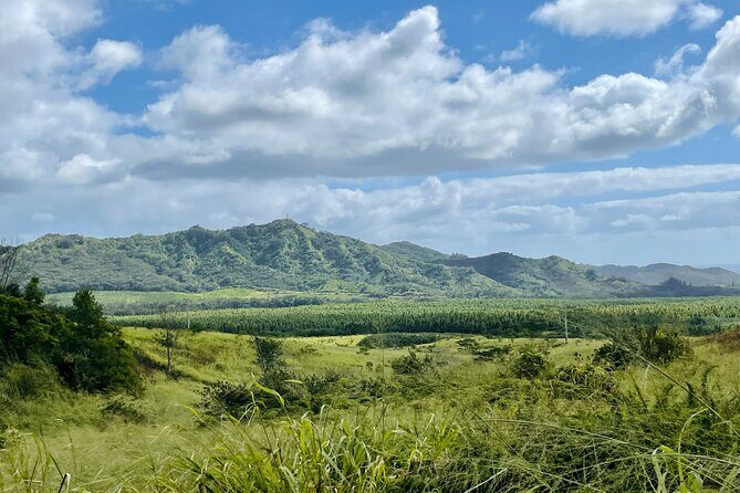 Shaka Zipline: 5 Line Zipline Tour (60 - 260 lbs) - An Honest Look at the Zipline Experience