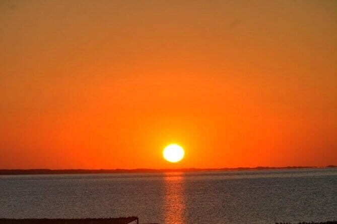 Shakhrisabz Private Day Tour from Samarkand - Final Thoughts