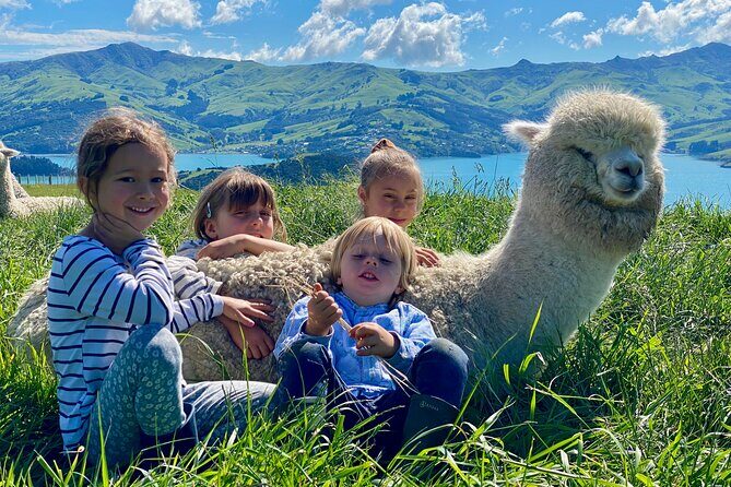 Shamarra Alpaca Farm Tours - Final Thoughts