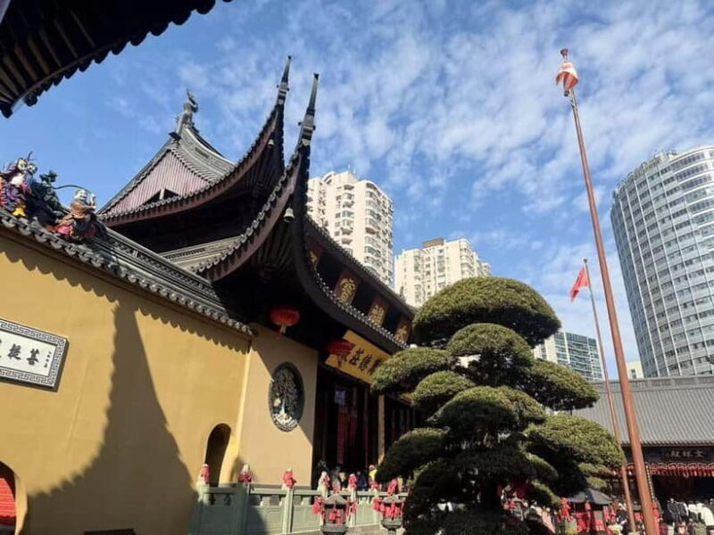 Shanghai: 3-hour Street Food and Temple Tour - Final Thoughts