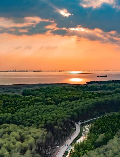 Shanghai: Chongming Island Private Tour with Lunch - Final Thoughts