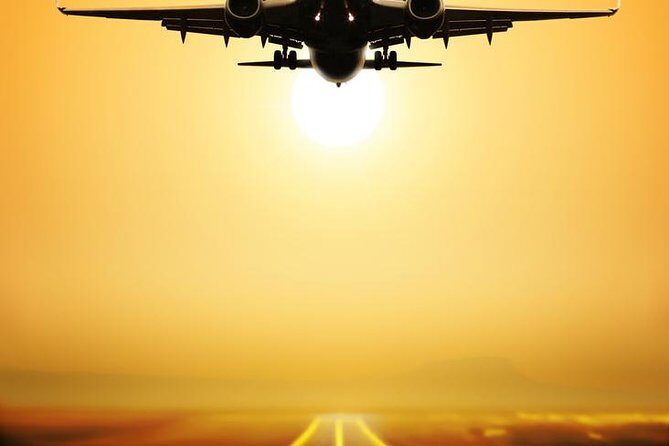 Shanghai Cruise Ports Private Transfer to Shanghai Airports in English Services - Key Points