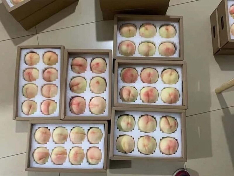 Shanghai: Delicate Seasonal Fruits and Picking Experience - Practical Considerations