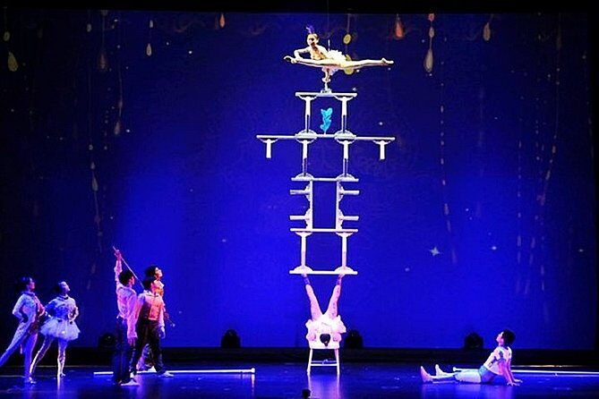 Shanghai Dinner and Acrobatics Show - A Closer Look at the Shanghai Dinner and Acrobatics Experience