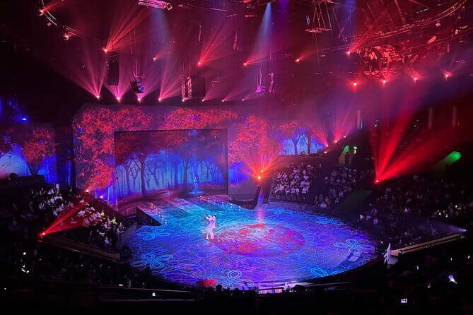 Shanghai Era Theatre Acrobatics Show Ticket - Who Should Consider This Tour?