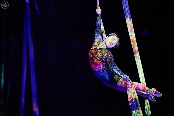 Shanghai Must-See Acrobatics Show with Private Transfer - Analyzing the Value and Suitability