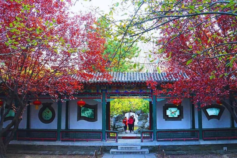 Shanghai: Old Town Half-Day Vintage Bike Tour (Night Option) - Discover Shanghai Beyond the Crowds on a Vintage Bike Tour