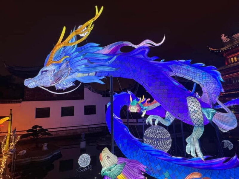 Shanghai: Personalized private tour with a certified French-speaking guide - Why Choose This Tour?