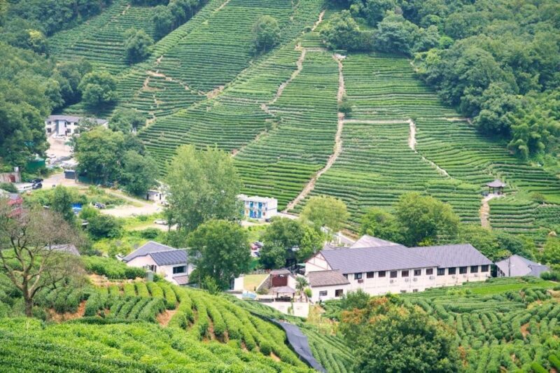 Shanghai: Private Guided Tour to Hangzhou by Bullet Train - Shanghai: Private Guided Tour to Hangzhou by Bullet Train