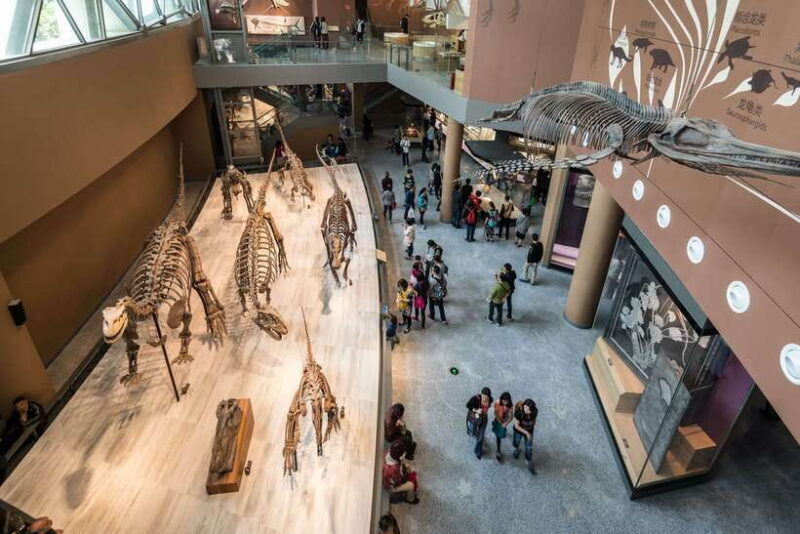 Shanghai: Private Tour of the Shanghai Museum - Authentic Experiences & Authenticity