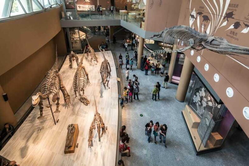 Shanghai: Private Tour of the Shanghai Museum - Practical Tips for Travelers