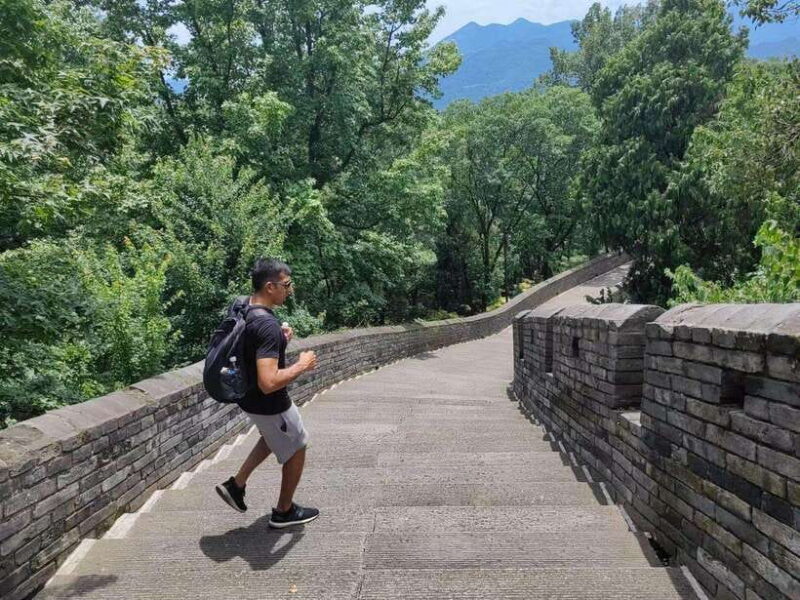 Shanghai: Southern Great Wall Day Trip by Bullet Train - In-Depth Review: What Makes This Tour Stand Out?