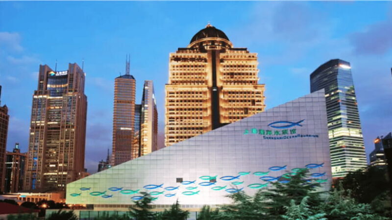 Shanghai: The Marine Wonders at Shanghai Ocean Aquarium - An In-Depth Look at the Shanghai Ocean Aquarium