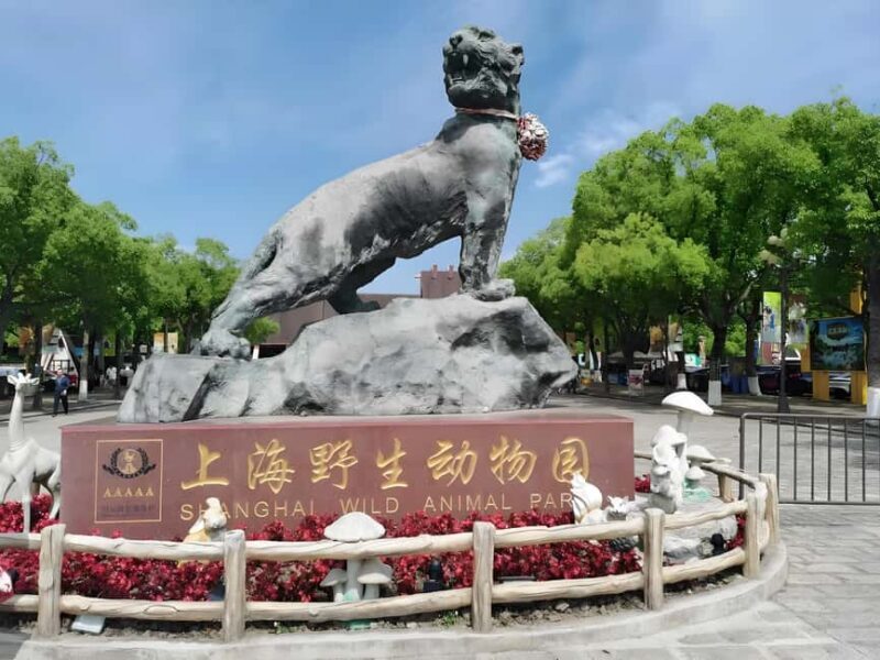 Shanghai Wildlife Park Panda & Predator Feeding Tour - An In-Depth Look at the Shanghai Wildlife Park Panda & Predator Feeding Tour