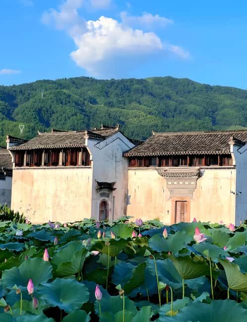 Shanghai: Wuzhen West Scenic Area & Wucun Day Trip - Key Points