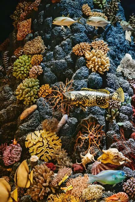 Shanghai: Yu Garden, City God Temple & River Cruise Tour - Key Points