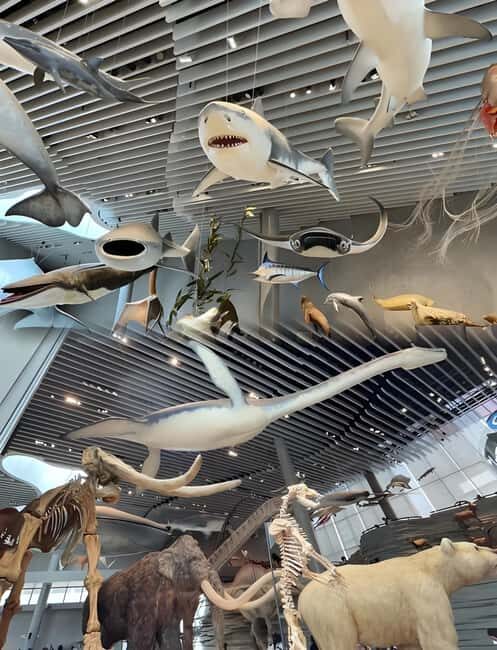 Shanghai: Yu Garden, City God Temple & River Cruise Tour - Exploring Yu Garden