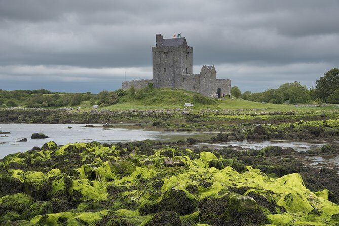 Shannon Airport to the Cliffs of Moher en route to Galway - Who Should Consider This Tour?