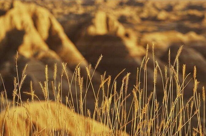 Shared Badlands and Wall Drug Store Experience - The Practicalities: What Makes This Tour Stand Out