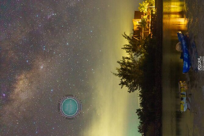 Shared Bioluminescence kayak tour in Holbox - Key Points