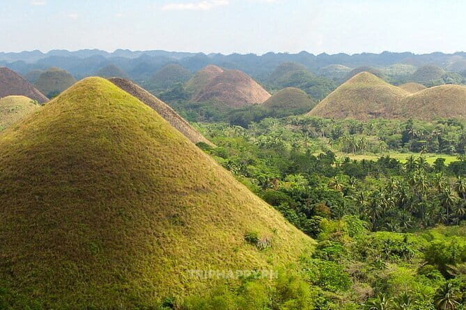 Shared Bohol Countryside Highlights Tour - Key Points