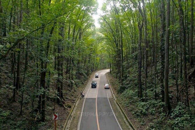 Shared Bohol Countryside Highlights Tour - Who Should Consider This Tour?