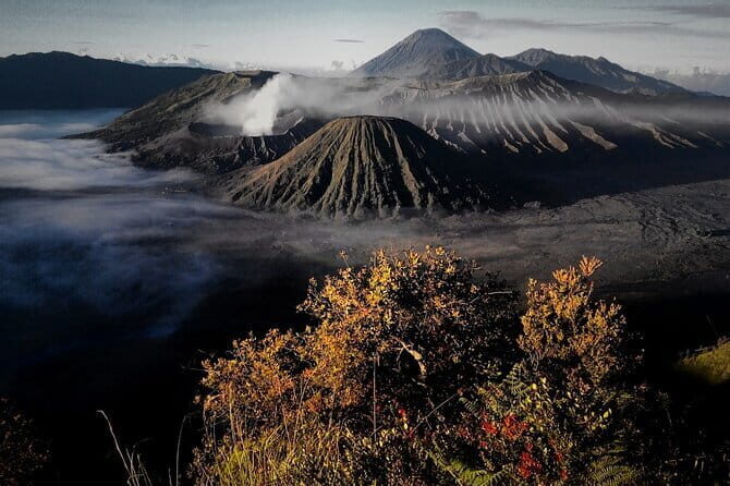 Shared Bromo Tour Start From Malang - 1D - Key Points