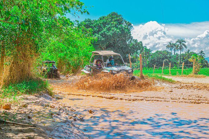 Shared Buggy Tour in Punta Cana - The Sum Up