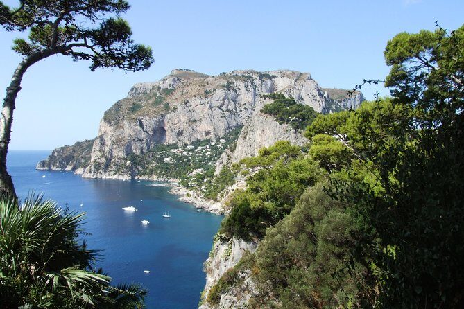 Shared Capri & Anacapri Full-Day Tour from Sorrento - A Deep Dive into the Capri & Anacapri Tour